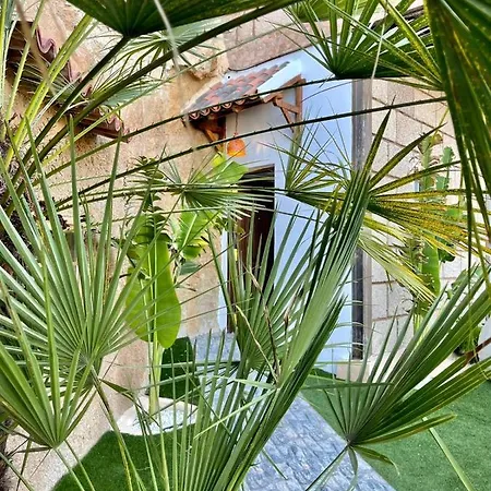 Villa Arico Cave Experience Full Complex *